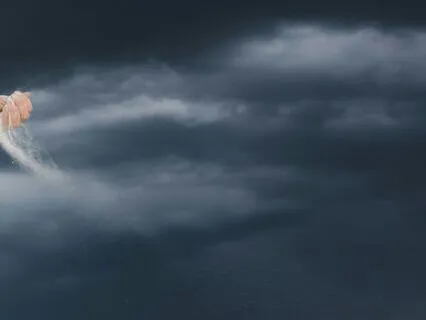 Understanding Renunciation