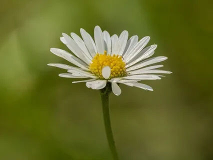 Understanding Separate Realities Creates Calm