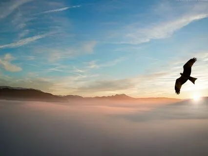 Understanding The Creator/Self Relationship Bond