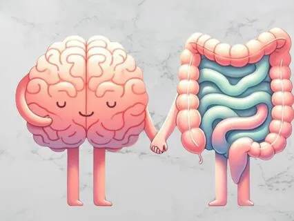 Understanding The Gut-Brain Connection