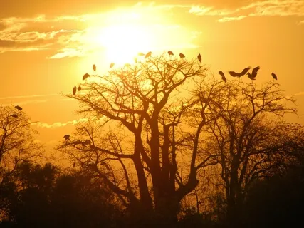 Understanding The Laws Of Manifestation