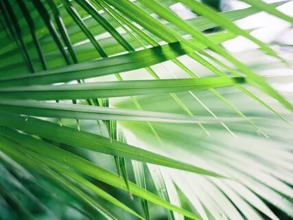 Understanding The Pain Of Rejection And How To Deal With It