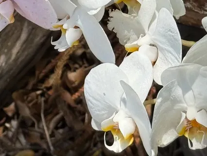 Understanding The Power Of Prayer