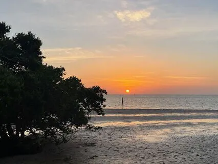 Understanding The Power Of The Now - A Talk & Meditation