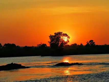 Understanding The Restless Mind