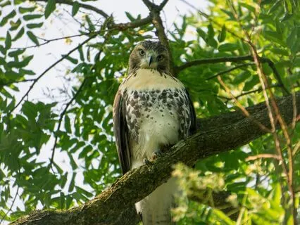 Understanding The Role Of Intuition In Inspired Action