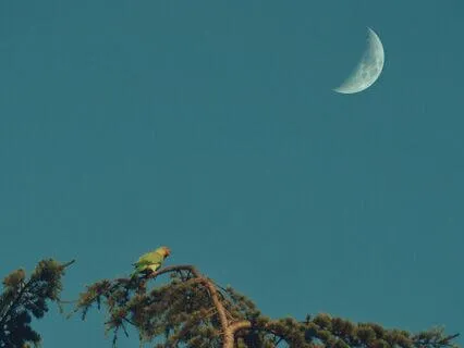 Understanding The Sky