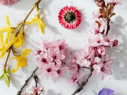 Understanding Thoughts To Become Free