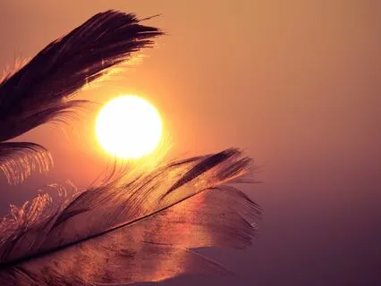 Understanding Your Ego | The Obstacle To Peace