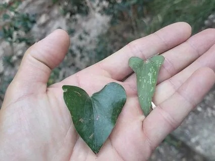 Understanding Your Love Language In Every Area Of Your Life