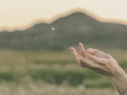 Understanding Your Nervous System | Introduction To Somatics