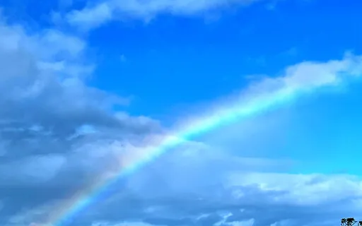 Understanding Your Soul's Ray