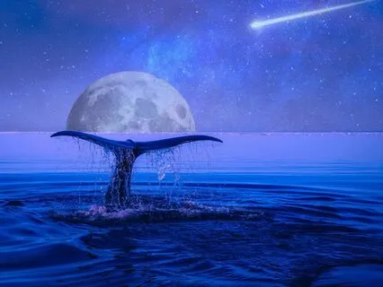 Underwater Gong Experience - Deep Gong And Whale Sounds