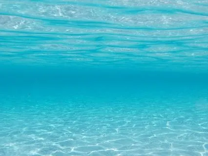 Underwater | Deeply Relaxing Soundscape | 30 Minutes