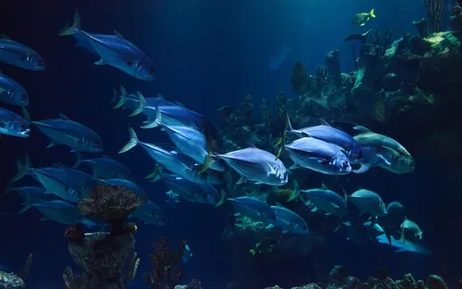 Underwater | Nature Sounds Collection | Patrick Lynen