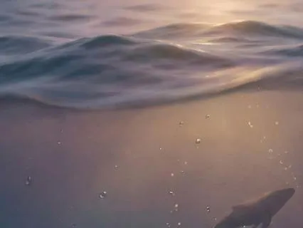 Underwater Sounds for Deep Sleep