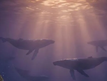 Underwater Whale Sounds for Healing