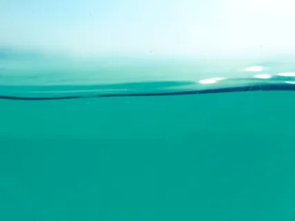 Undistracted Presence Part 2 - Stilling Thought