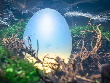 Unearthing The Dragon Within- Strength & Empowerment