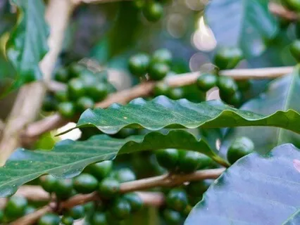 Unexpected Blessings