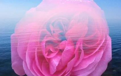 Unexplored Waters Of The Heart