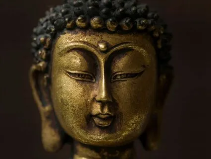 Unfold Your Inner Wisdom