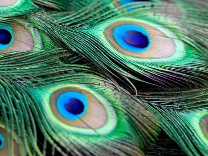 Unfold Your True Colors