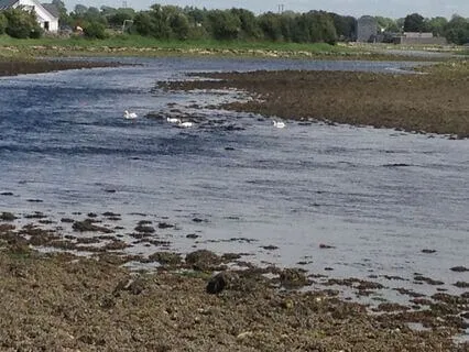 Unfolding Like A River