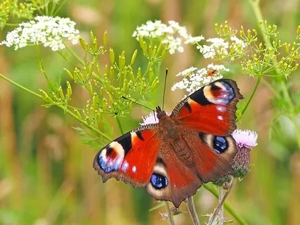 Unhide And Be All Of You