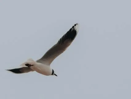 Release The Hold Of The Past: Affirmations For Renewal