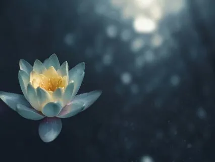 Unhook From Thoughts