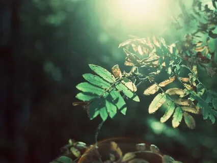 Unhooking Your Limiting Thoughts 