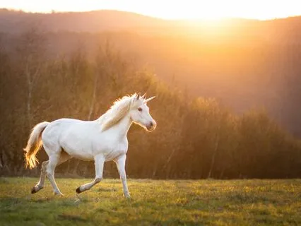 Unicorn Spirit Meditation