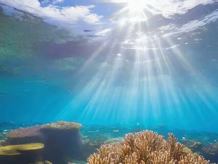 Unidentified Submerged Objects - UFOs And More!