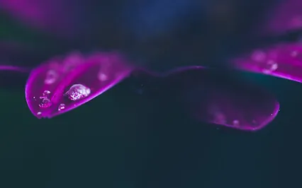 Unimeditaatio - Energiapuhdistus