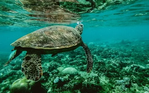 Union Of Body, Mind And Spirit (417Hz)