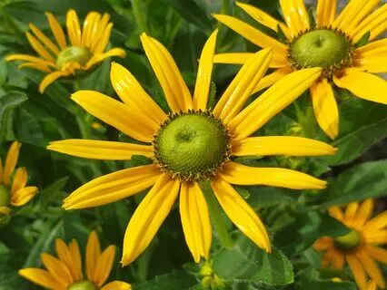 Uniquely Gifted - A Reminder