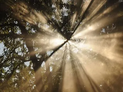 Uniting Essence And Restoring Intuition