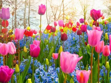 Uniting The Feminine And Masculine Within