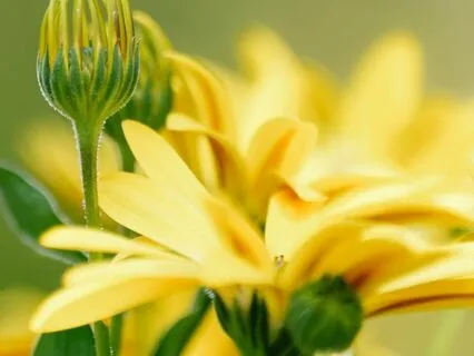 Unity - Connection & Harmony : Time-Friendly Affirmations