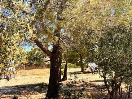 Unity Consciousness Affirmations