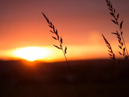 Universal Consciousness: Unity, Connection & Love