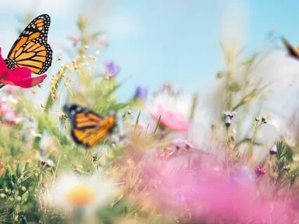 Universal Guidance: Receiving Wisdom From The Cosmos