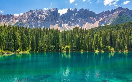 Universal Harmony Of The Perfect 5th