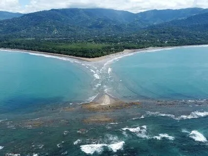 Universal Love Yoga Nidra With Alpha Brain Waves