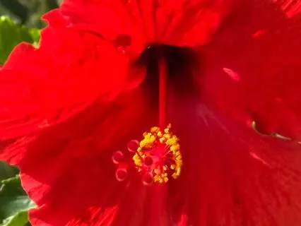 Universal Mind Consciousness