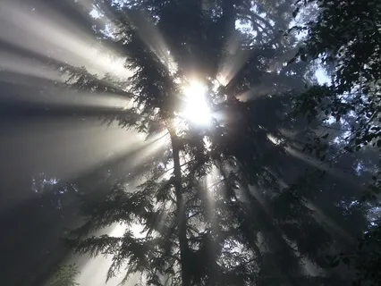 Universal Sphere® Experience (No Music)