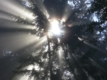 Universal Sphere® Experience (With Music)