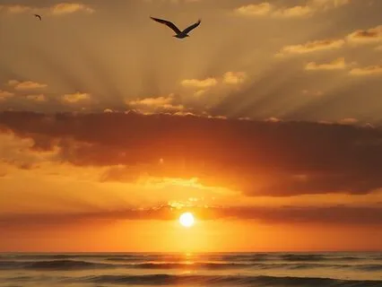 Universe Awakened-Improves Focus And Intentionality - 432 Hz