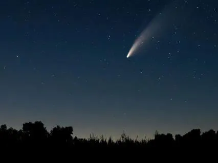 Universe Calling?